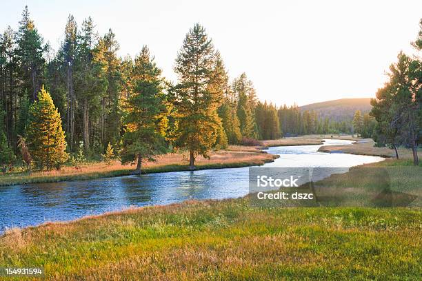 Nez Perce Creek In Yellowstone National Park At Sunset Stock Photo - Download Image Now