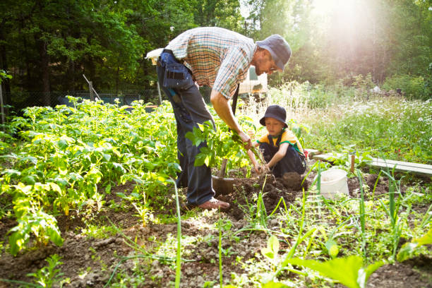 istock father and son gardening 154932320