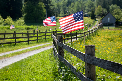 American flag(focus on it) in the countryside,Washington State,USA.