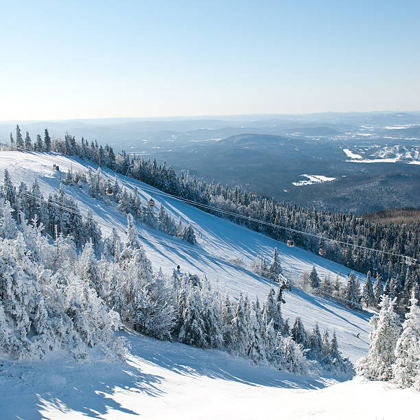 piste da sci - skiing snow mountain canada foto e immagini stock