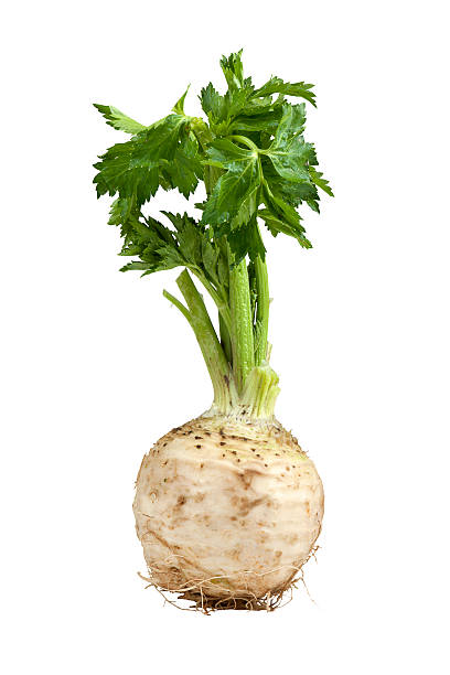 sedano - celery leaf celeriac isolated foto e immagini stock