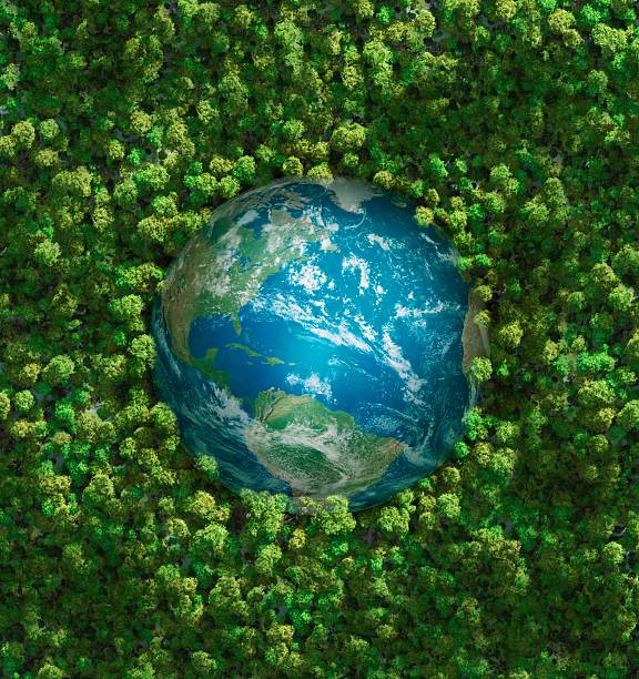 The earth embedded in green shrubbery Ecology concept: aerial view of the earth surrounded by a  healthy forest. Computer generated. Subtle grain texture added. Earth's maps courtesy of http://www.shadedrelief.com deforestation photos stock pictures, royalty-free photos & images