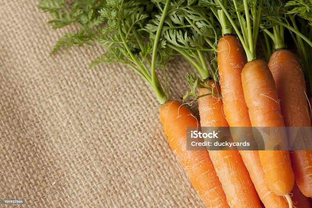 Eigengewächs Karotten auf Leinwand Hintergrund - Lizenzfrei Möhre Stock-Foto