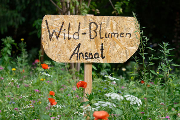 istock sign with german handwritten text wild flowers sowing 1549332680