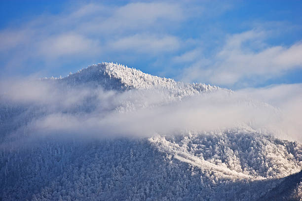 smoky mountains im winter - newfound gap stock-fotos und bilder