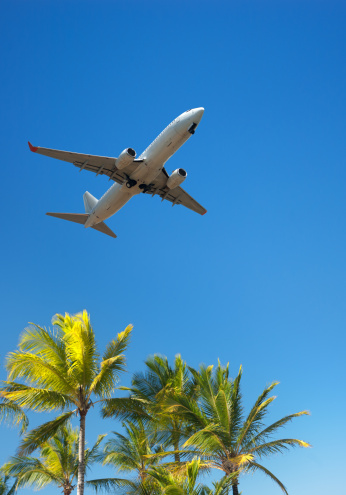 Commercial airplane close to landing, showing palmtrees against tropical blue sky - Vertical image