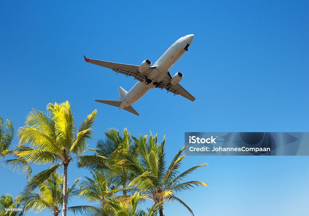 Avión al aire libre en verano vacaciones en la playa tropical - Foto de stock de Palmera libre de derechos