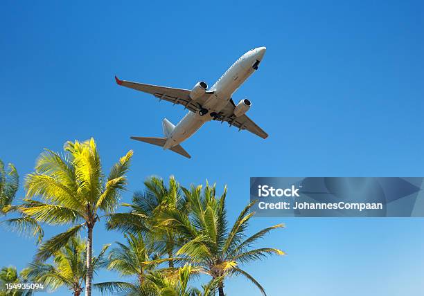 Avión Al Aire Libre En Verano Vacaciones En La Playa Tropical Foto de stock y más banco de imágenes de Palmera
