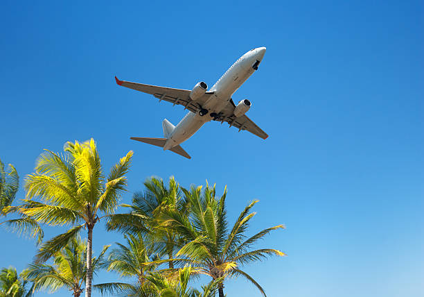 istock Air plane to tropical summer beach vacation 154935094