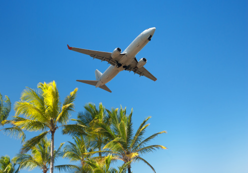Commercial airplane close to landing at holiday destination, showing palmtrees against tropical blue sky - Horizontal image