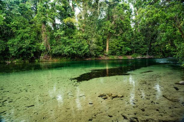 istock Babinda Boulders Aerial View 1549365378