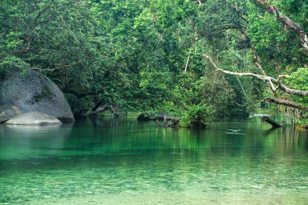 istock Babinda Boulders Aerial View 1549366392