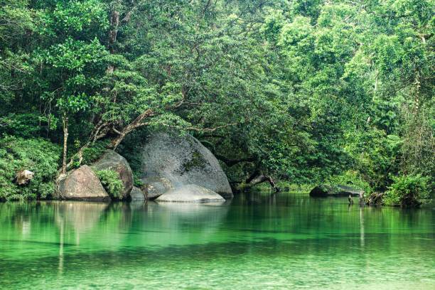 istock Babinda Boulders Aerial View 1549367212