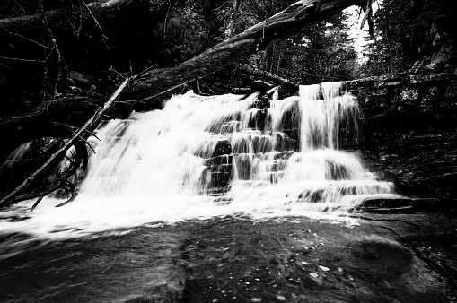 In this black-and-white time exposure the waters of Glacier Creek above Alberta Falls cascade down through a series of boulders. 