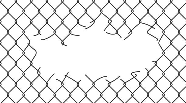 istock Broken wire mesh fence. Rabitz or chain link fence with cut hole. Torn wire pirson mesh texture. Cut metal lattice grid. Vector illustration isolated on white background 1549412594