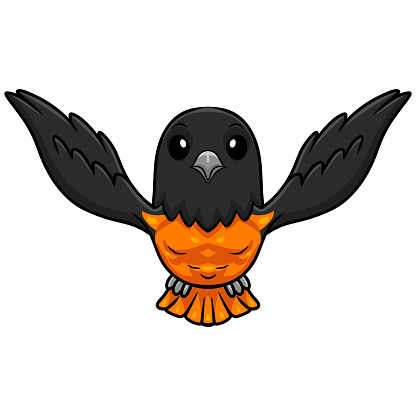 Vector illustration of Cute baltimore oriole bird cartoon flying