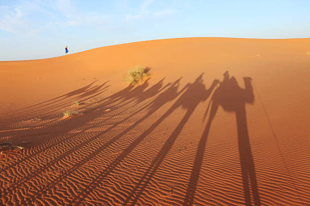 砂丘、ラクダとベルボーイに、モロッコ、アフリカの砂漠 - desert landscape morocco sand dune ストックフォトと画像