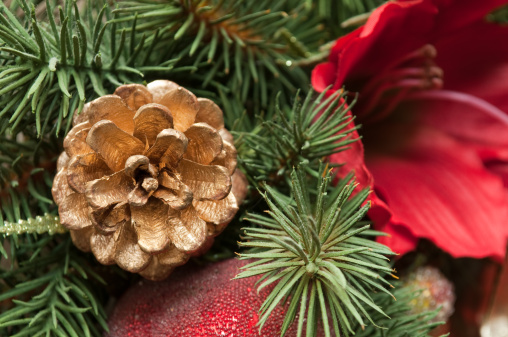 Gold colored pine cone in a green wreath with red flowers and fruits surrounding the pine cone.