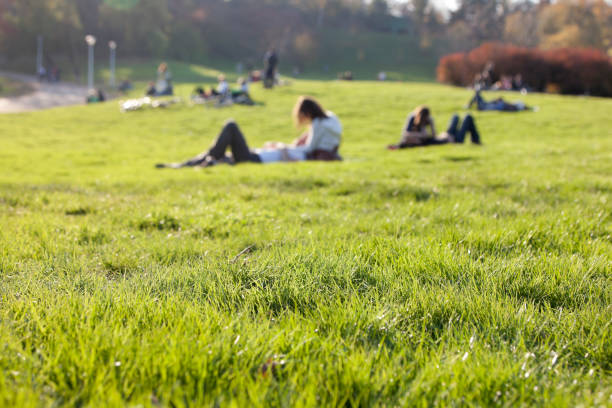 istock People relaxing in the park 154946348