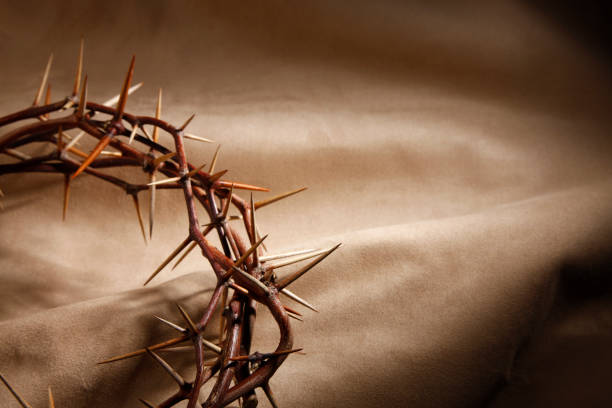 istock Crown of Thorns with Copyspace 154946439