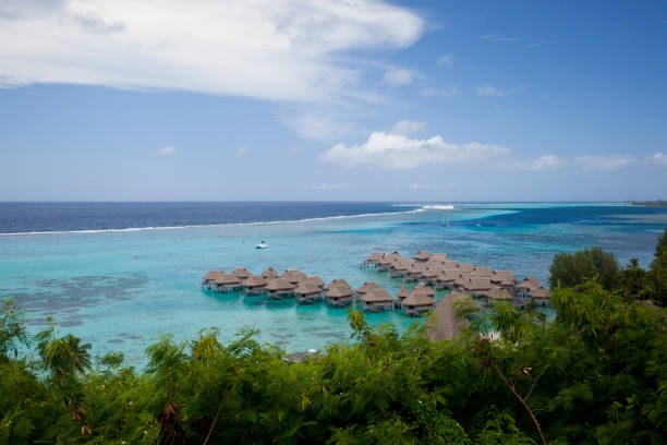 istock Over the Water Bungalows in Moorea French Polynesia 154946473
