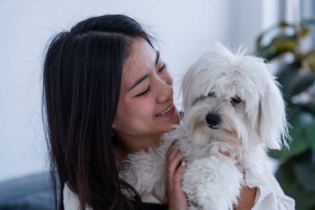 istock woman and her pet dog 1549470020