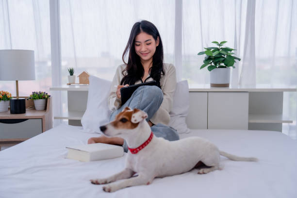 istock woman and her pet dog 1549470538