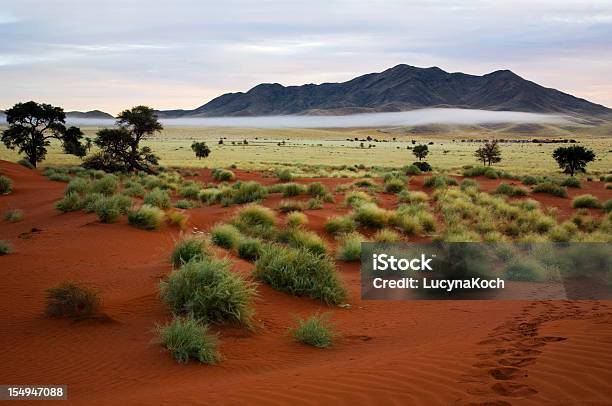 Namibialandschaft Stockfoto und mehr Bilder von Abenteuer - Abenteuer, Afrika, Ausgedörrt