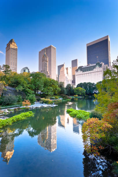 Central Park in New York City [url=/file_search.php?action=file&lightboxID=7017035][IMG]http://farm3.static.flickr.com/2540/4008616250_4108b7faba.jpg[/IMG][/url]
