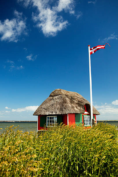 bela dinamarca - red cottage small house imagens e fotografias de stock
