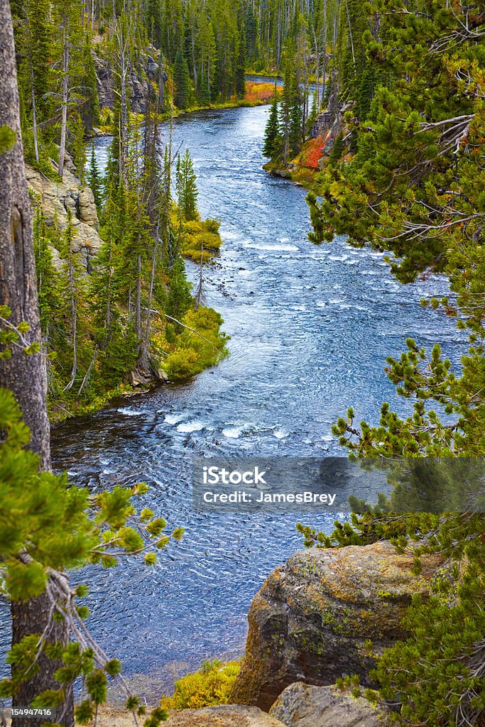 Río Snake fluye a través de Yellowstone Park Wyoming a principios de otoño - Foto de stock de Parque Nacional de Yellowstone libre de derechos