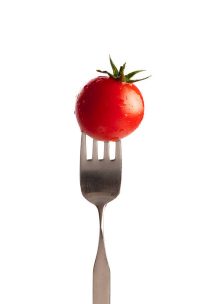 Single salad vine tomato on fork, isolated, white background stock photo