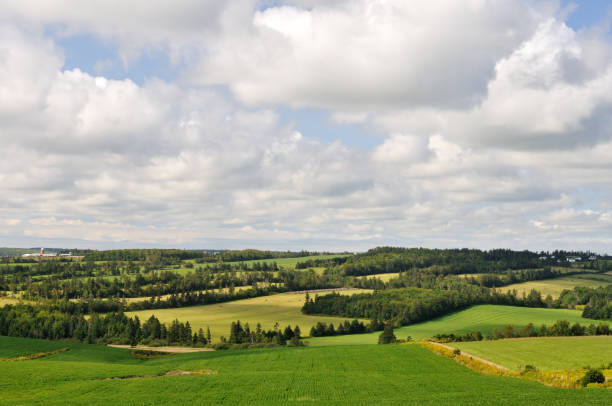 istock Scenic Countryside 154947640