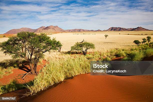 Namibialandschaft Stockfoto und mehr Bilder von Landschaft - Landschaft, Abenteuer, Afrika