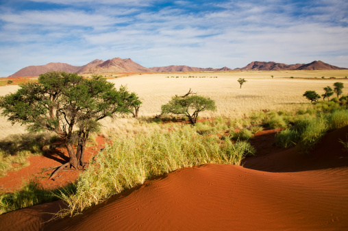 Namibia desert landscape, gravel road in front