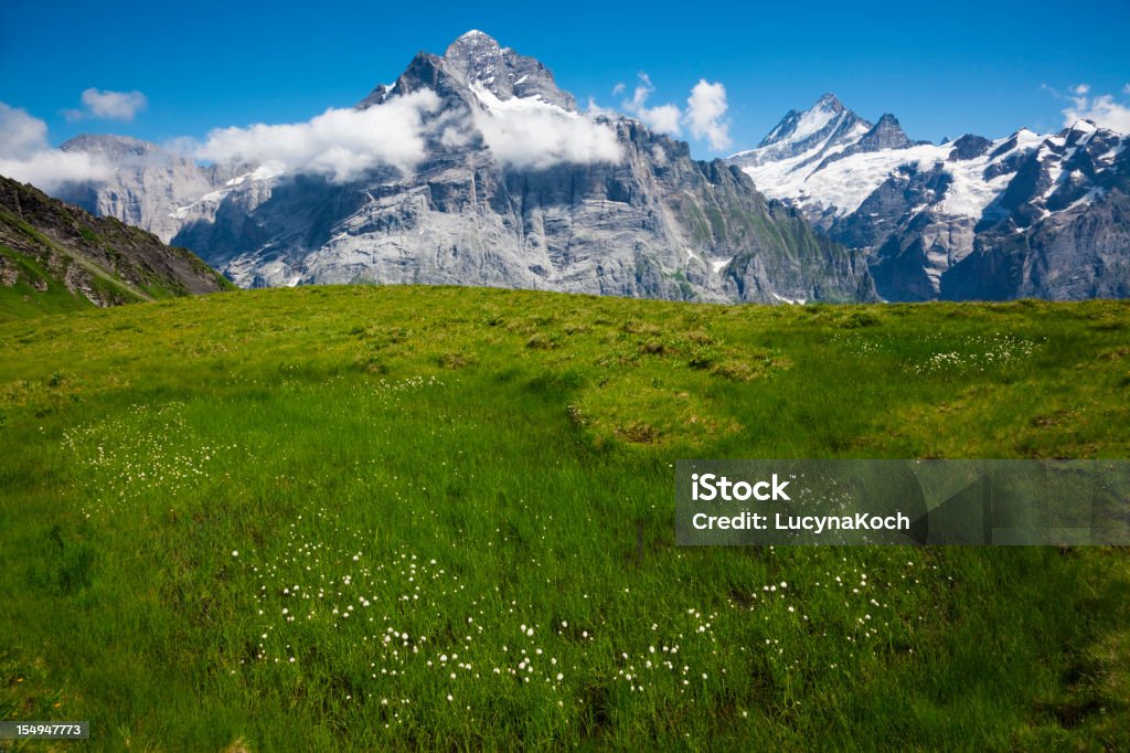 Alpen Sommer - Lizenzfrei Alpen Stock-Foto