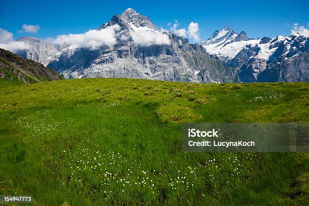Alpen Sommer Stockfoto und mehr Bilder von Alpen - Alpen, Berg, Berggipfel
