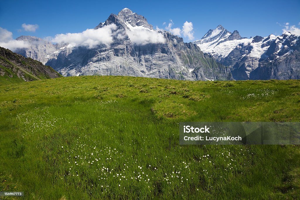Alpes de Verão - Royalty-free Alpes Europeus Foto de stock