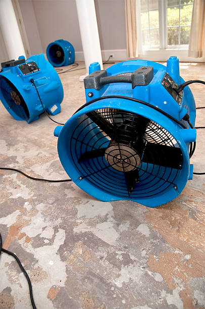 istock sewage flood home restoration 154947811