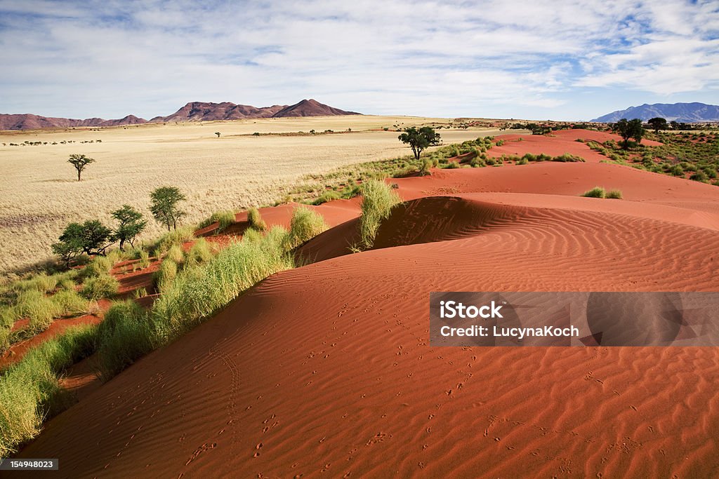 Paysage de prairie de la Namibie - Photo de Namibie libre de droits