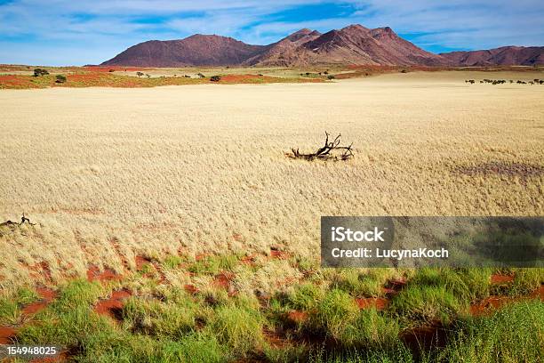 Namibialandschaft Stockfoto und mehr Bilder von Abenteuer - Abenteuer, Afrika, Ausgedörrt