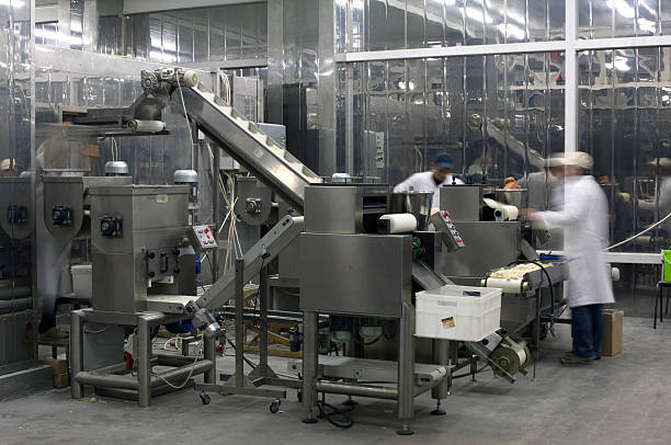 Production line in the food factory. stock photo