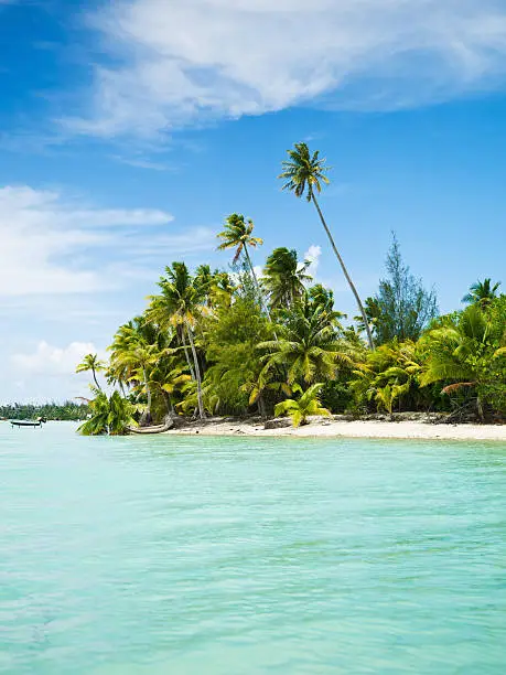 View over beautiful sand beach with palm trees near Bora Bora, French Polynesia.