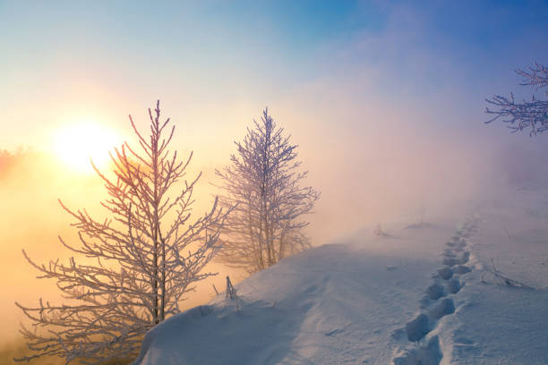 http://www.mordolff.ru/is/_lb_nature_fog.jpg