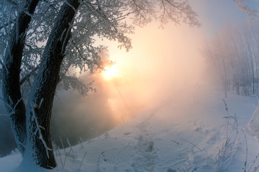 http://www.mordolff.ru/is/_lb_nature_fog.jpg