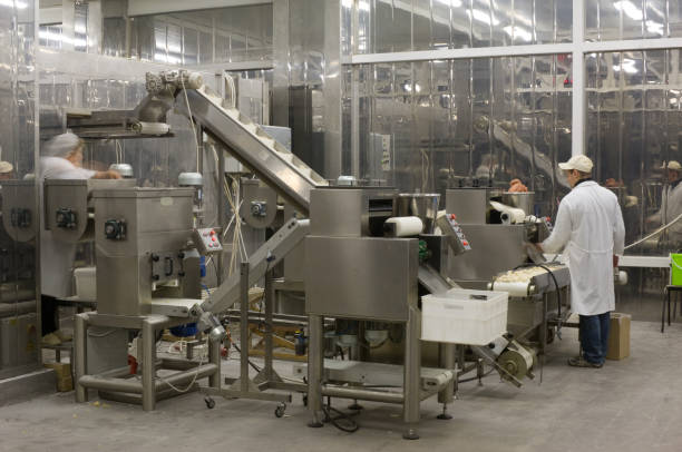 Automated production line in modern food factory. Ravioli production. People working.