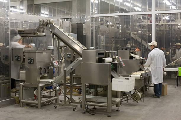 A complex production line with workers in a food factory stock photo
