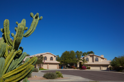 Cul de sac in north Scottsdale, AZ suburb with cactus in defocus in foreground on clear sky day
