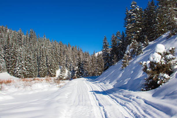 istock Winter road in the mountains 1549490797