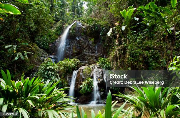 Photo libre de droit de Cascade Series banque d'images et plus d'images libres de droit de Tobago - Trinité et Tobago - Tobago - Trinité et Tobago, Forêt pluviale, Cascade